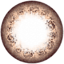 렌즈직구-렌즈고고