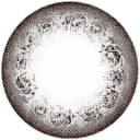 렌즈직구-렌즈고고