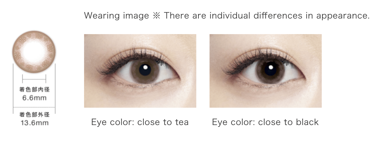 렌즈직구-렌즈고고