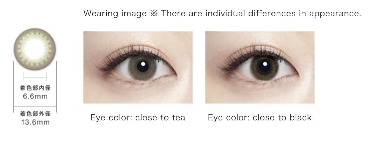 렌즈직구-렌즈고고