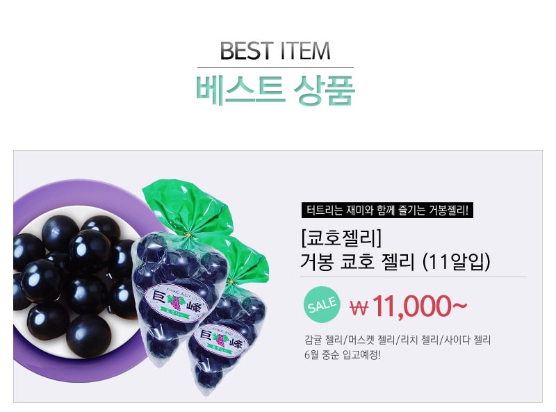 렌즈직구-렌즈고고