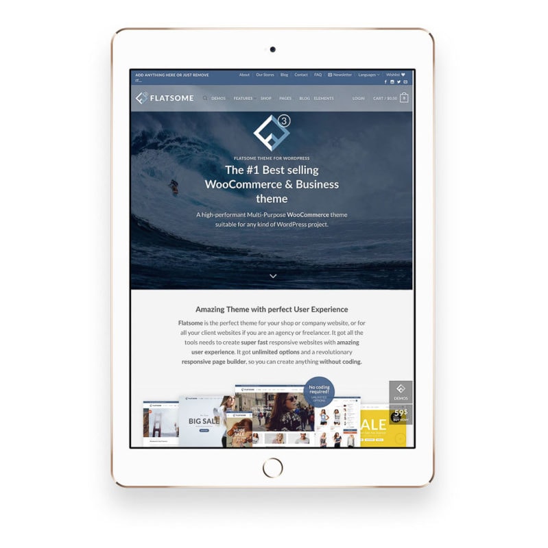 렌즈직구-렌즈고고