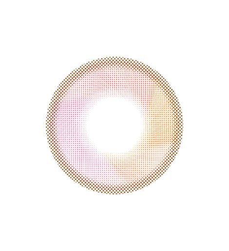 렌즈직구-렌즈고고